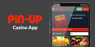 Pin Up Casino İcmalı 2024